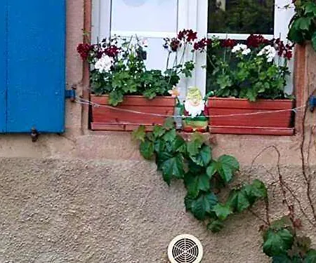 L'instant * Le Hohwald