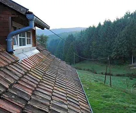 L'instant Le Hohwald